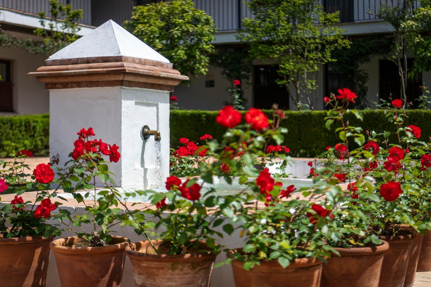 Magno Apartments San Laureano - Private Parking Included إشبيلية المظهر الخارجي الصورة